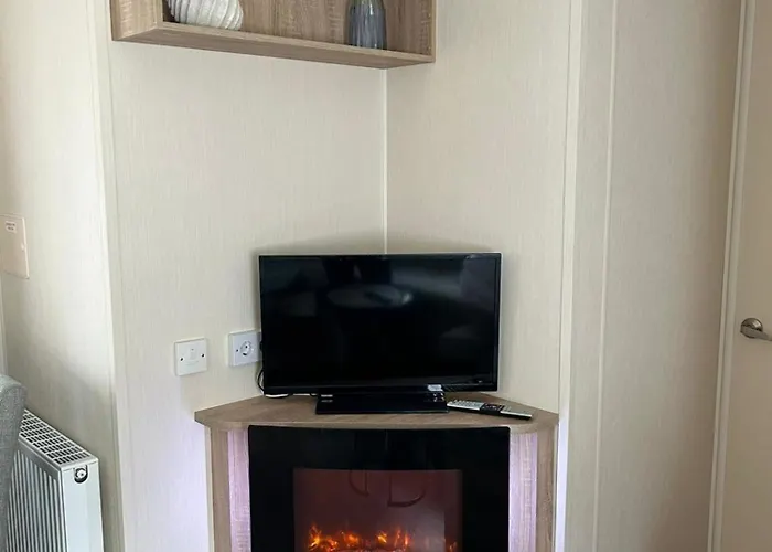 Kegelrobbe Mir Riesiger Ueberdachter Terrasse Am Kransburger 544