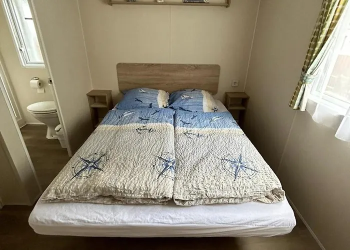 Kegelrobbe Mir Riesiger Ueberdachter Terrasse Am Kransburger 544 Wurster Nordseekuste