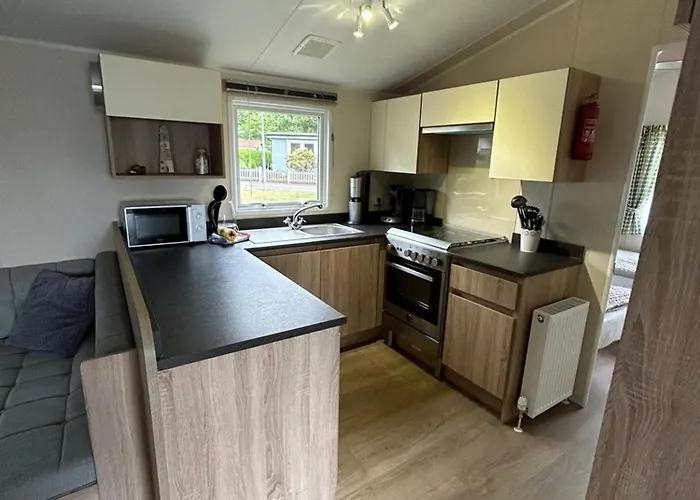 Kegelrobbe Mir Riesiger Ueberdachter Terrasse Am Kransburger 544 Wurster Nordseekuste